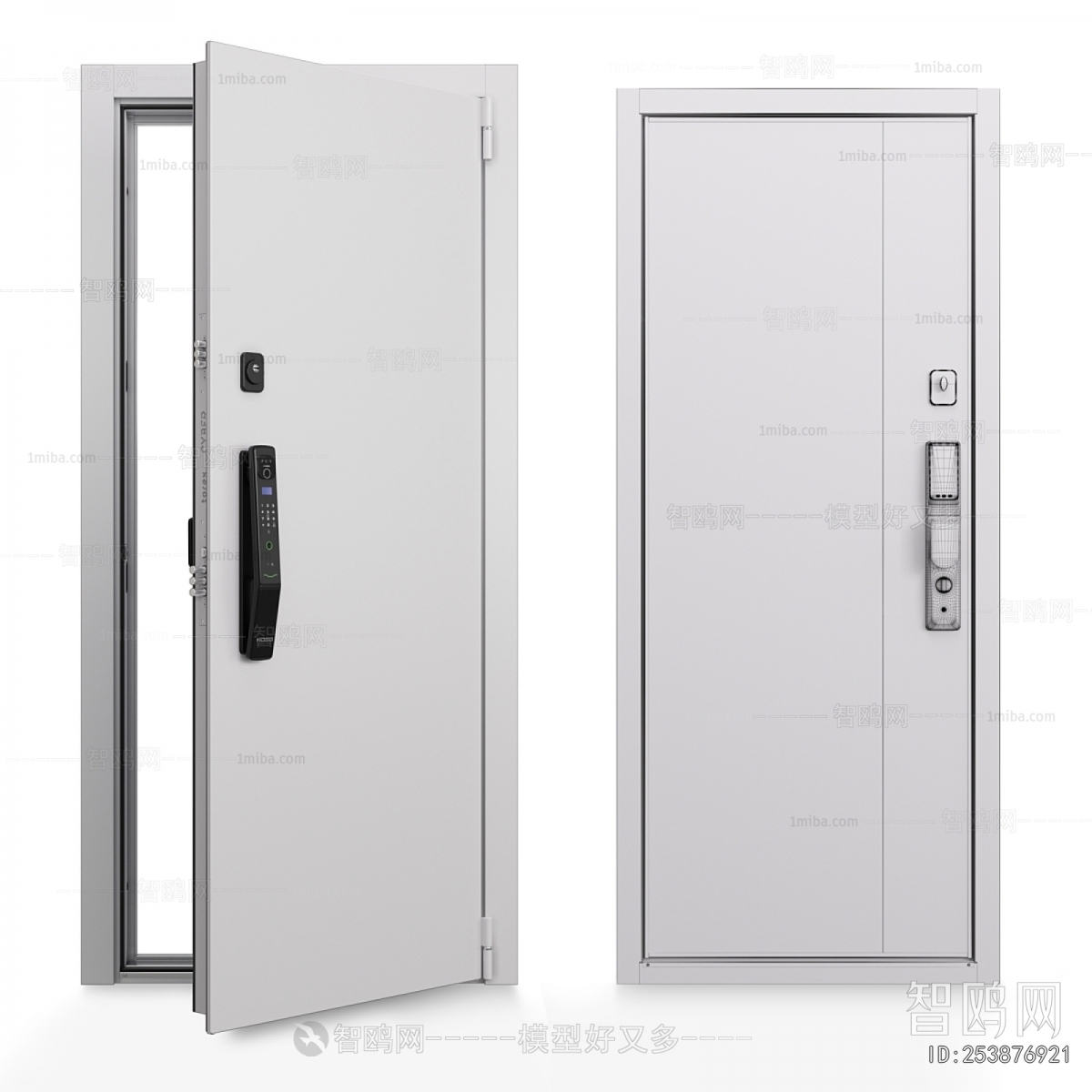 Modern Entrance Door