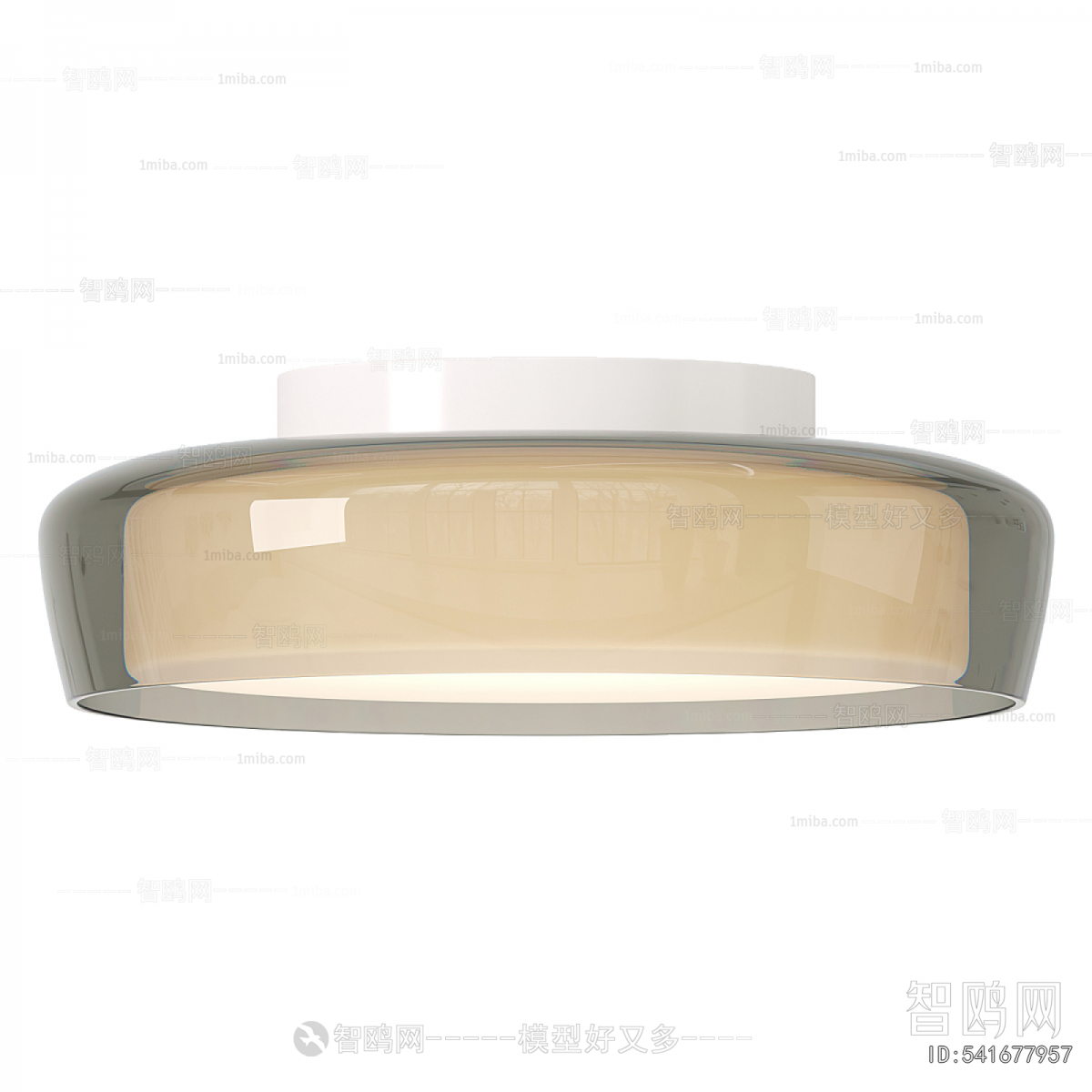 Modern Ceiling Ceiling Lamp