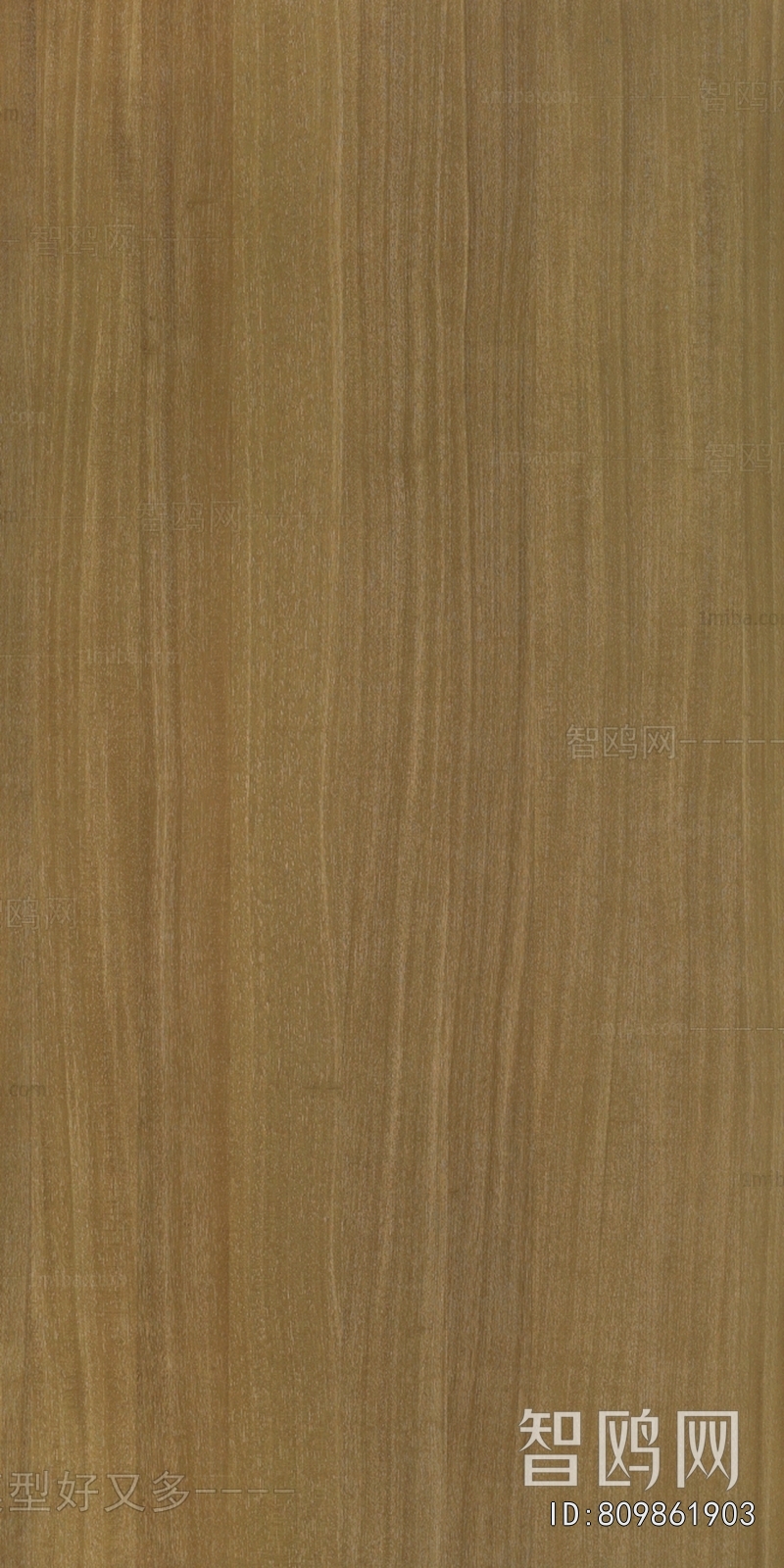 Wood Texture