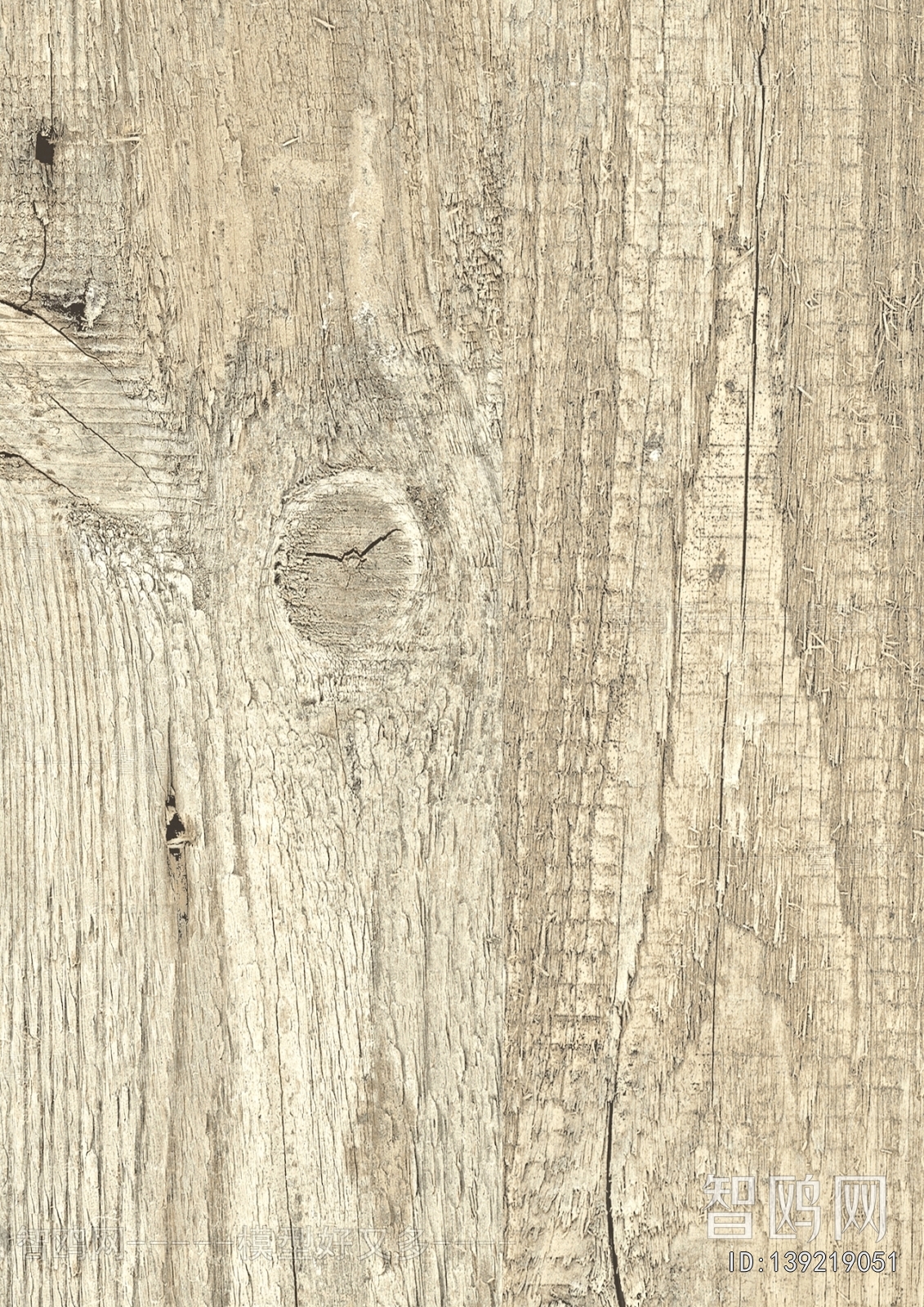 Wood Texture