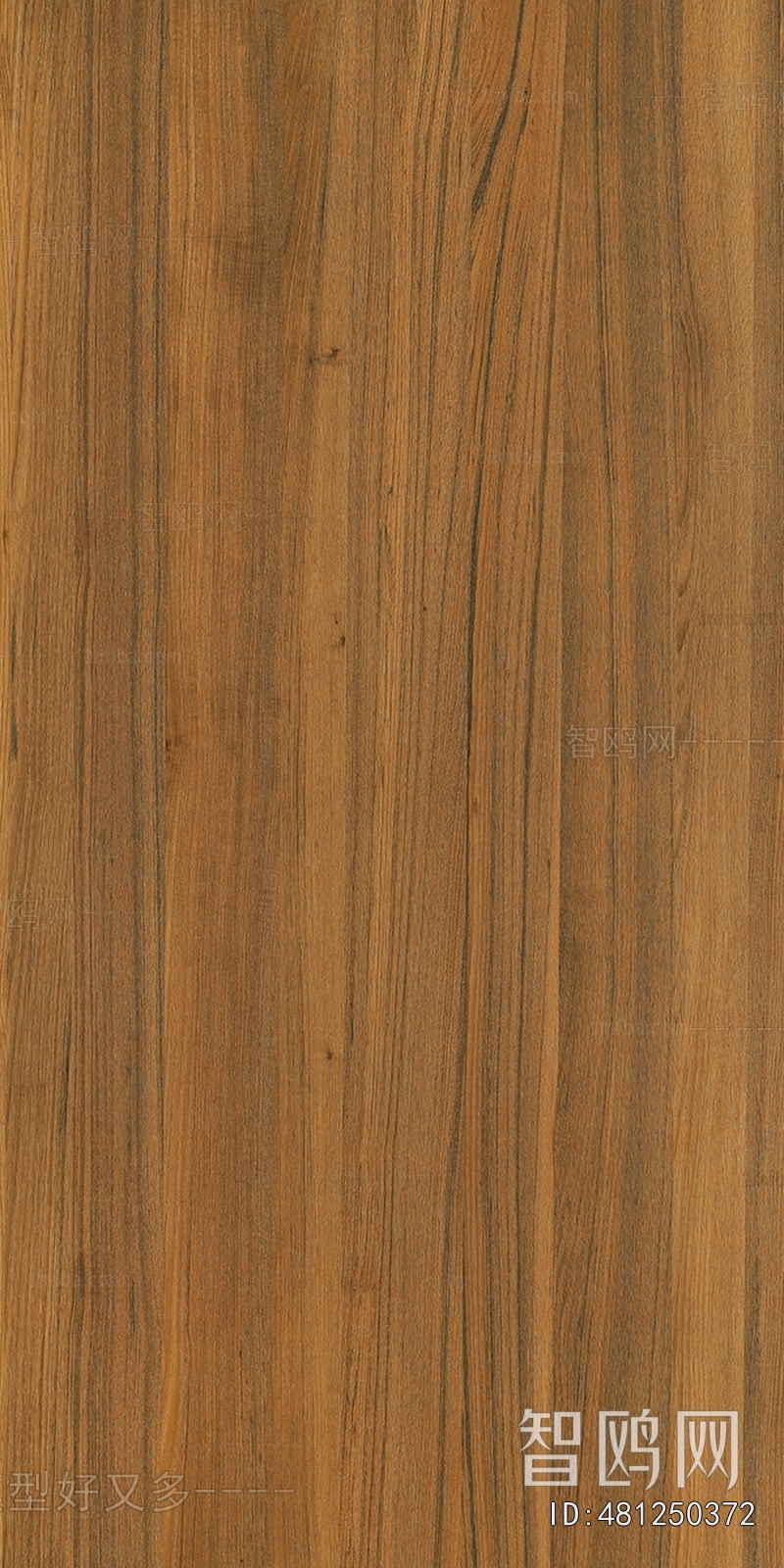 Wood Texture