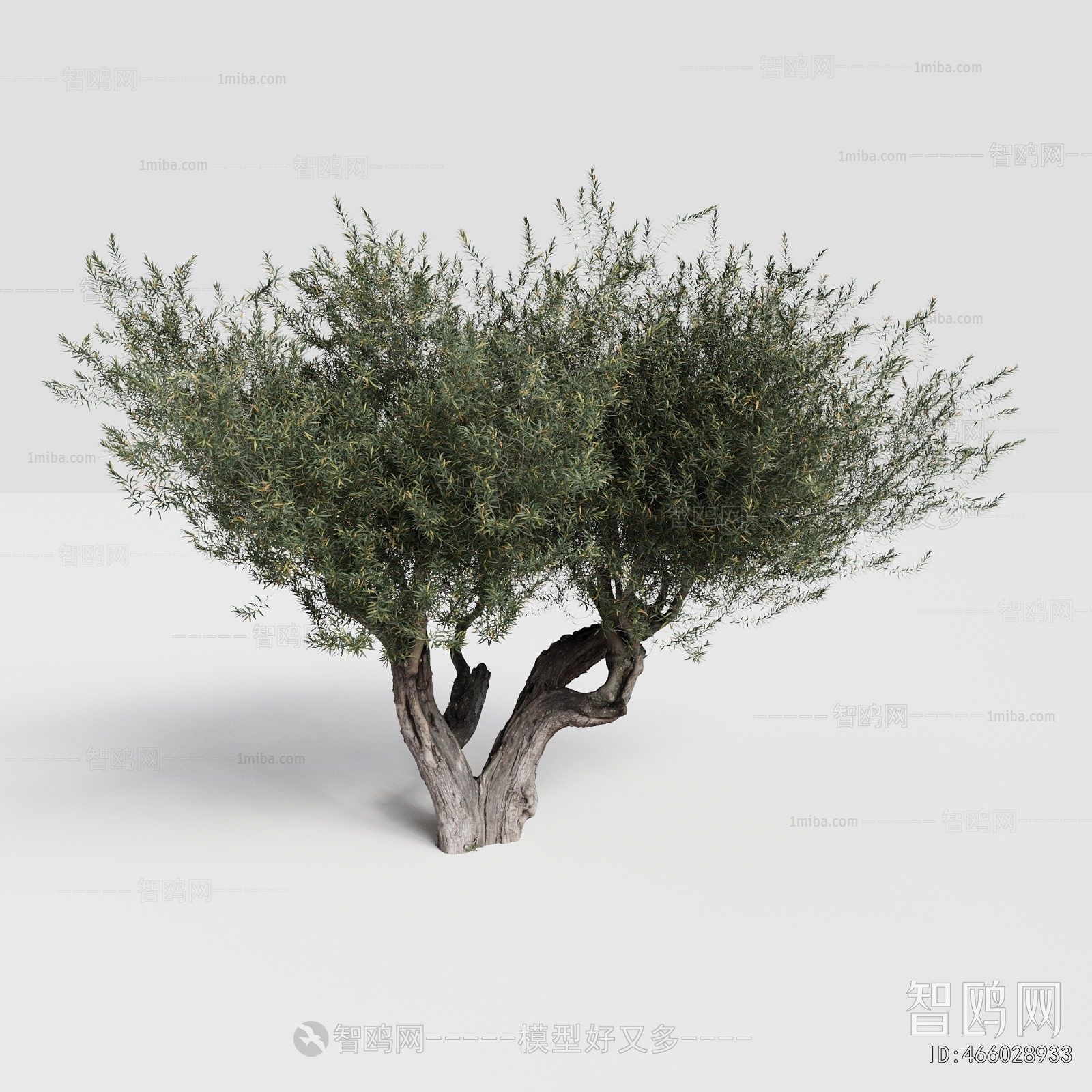 Modern Tree