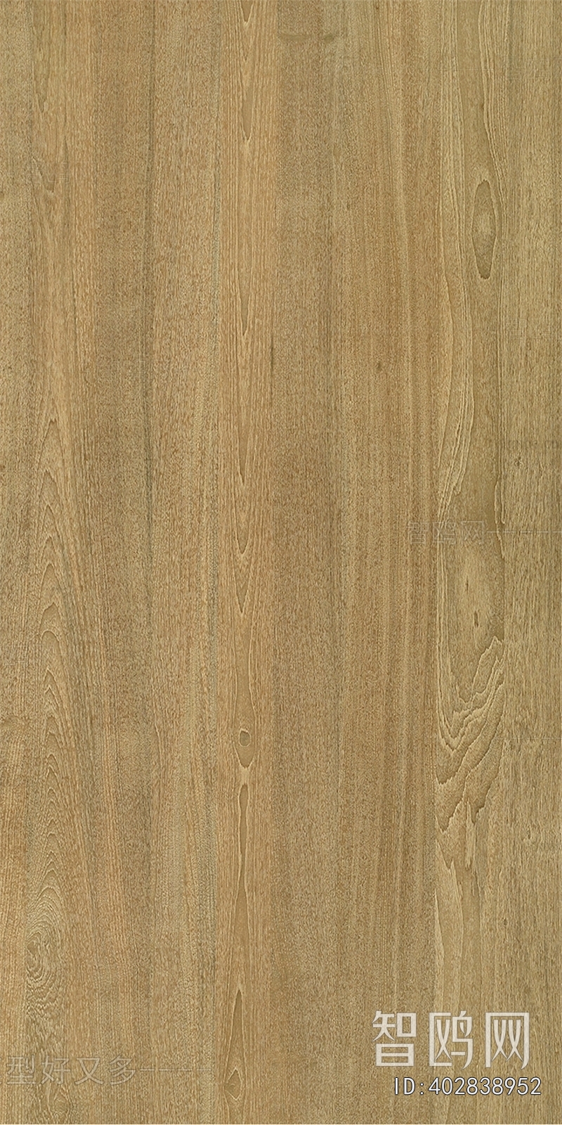 Wood Texture