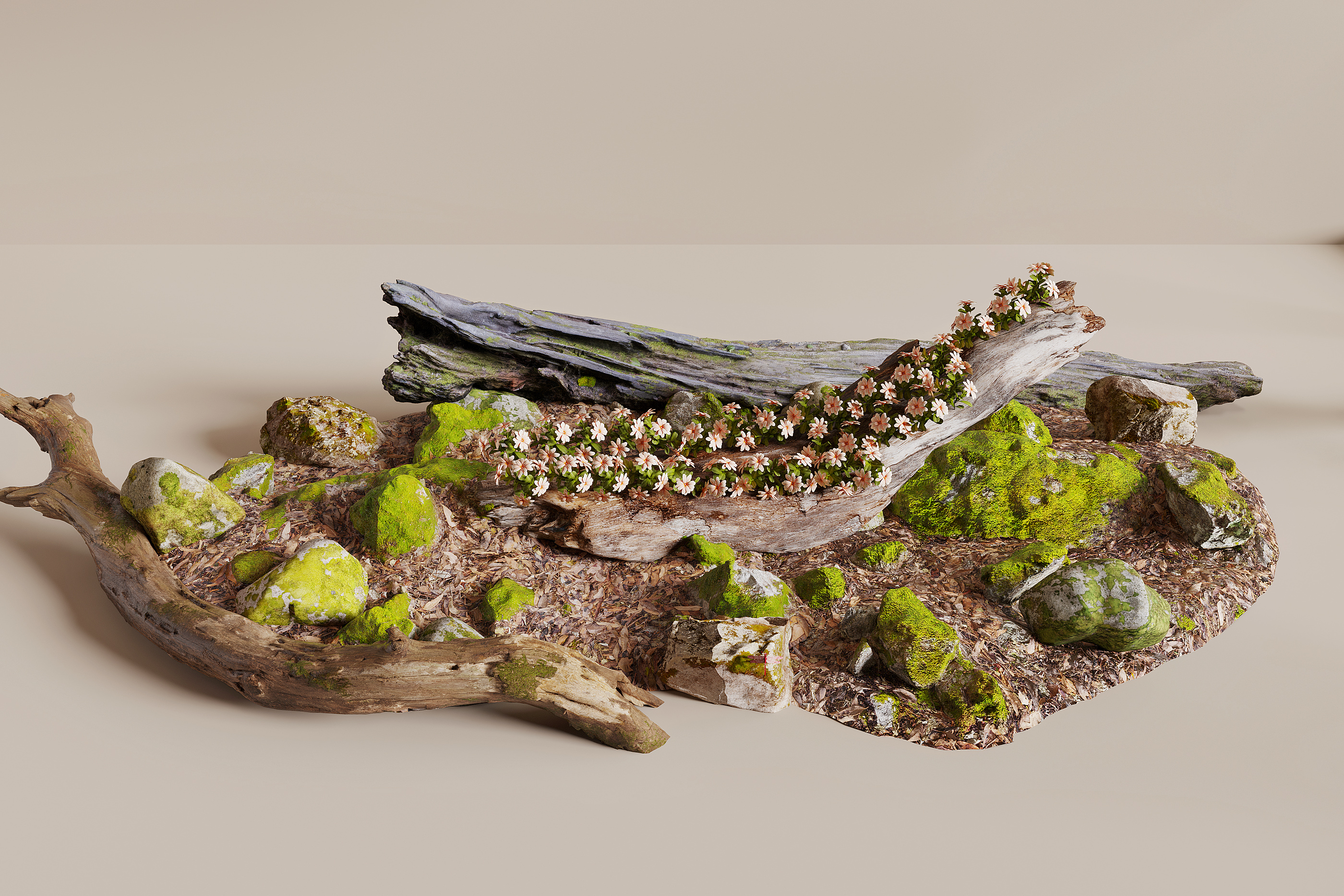 Modern Plant Landscaping