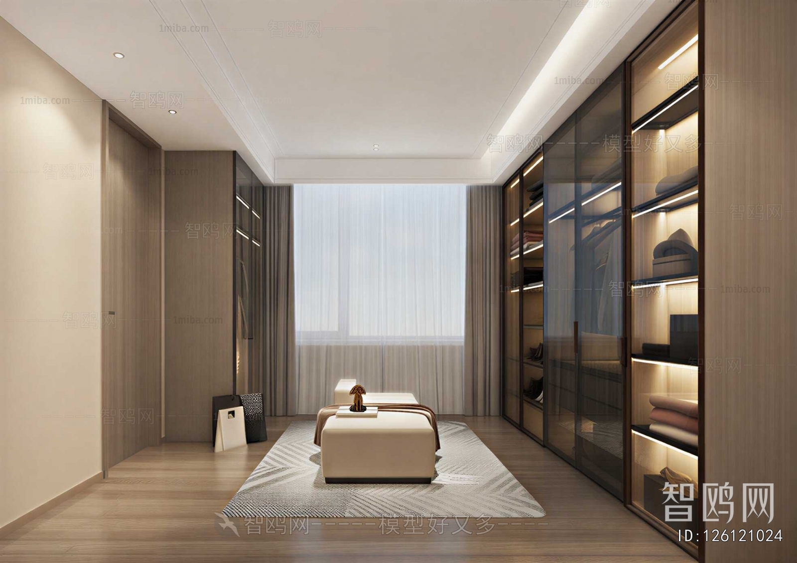 Modern Clothes Storage Area