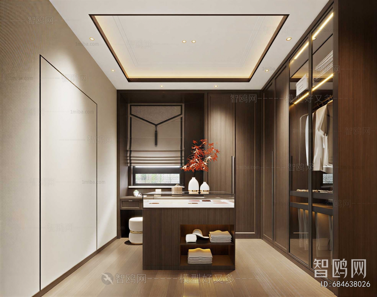 Modern Clothes Storage Area