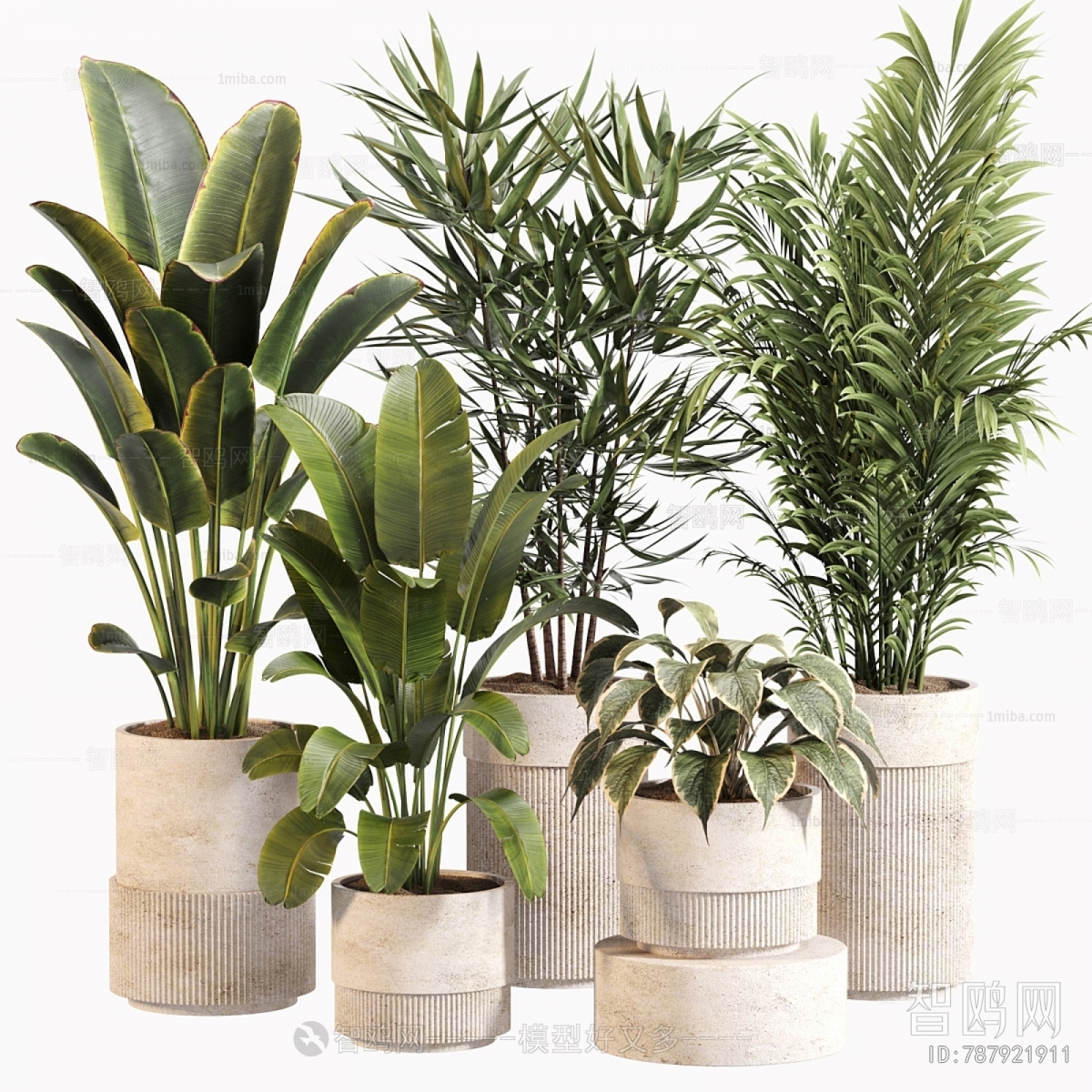 Modern Ground Green Plant Potted Plants