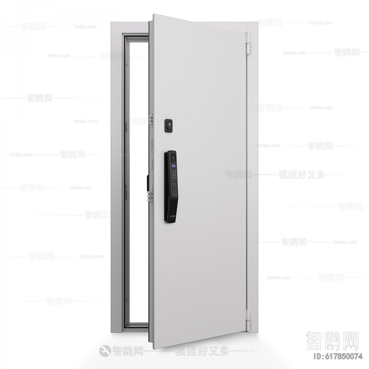 Modern Entrance Door