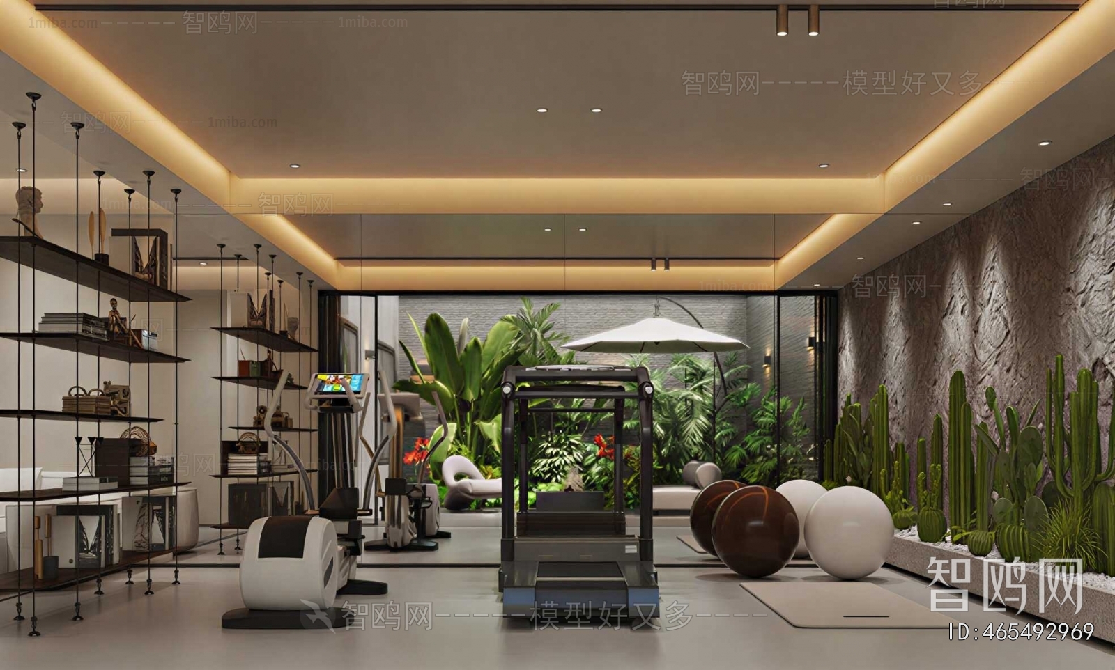 Modern Home Fitness Room