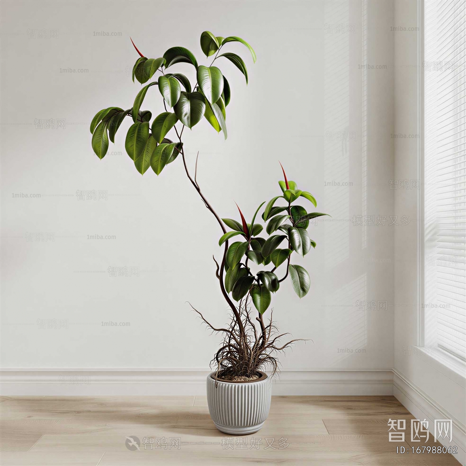 Modern Ground Green Plant Potted Plants