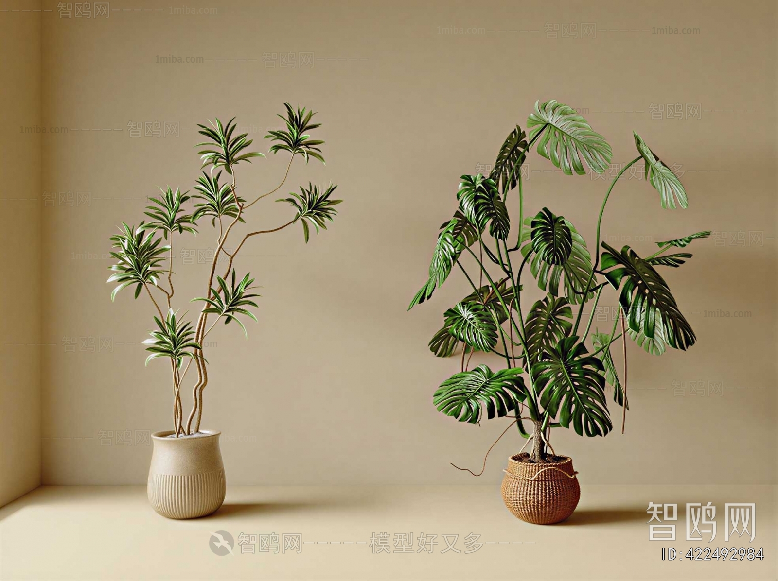 Modern Ground Green Plant Potted Plants