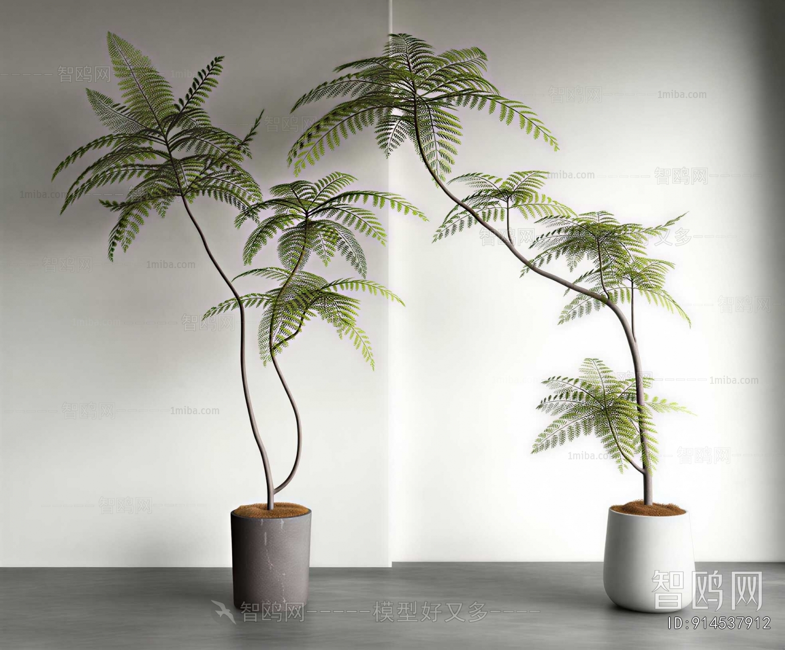 Modern Ground Green Plant Potted Plants