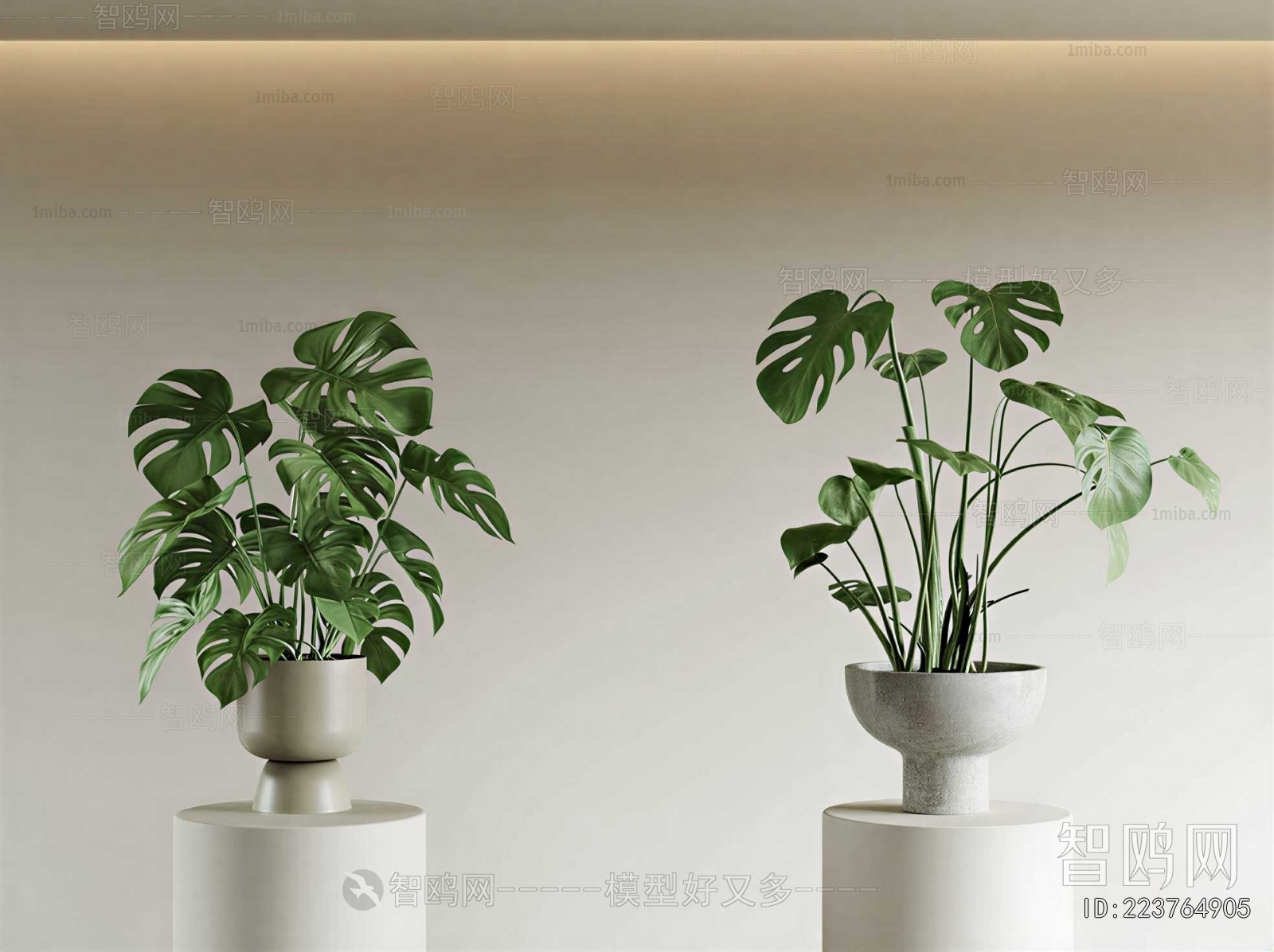 Modern Potted Green Plant