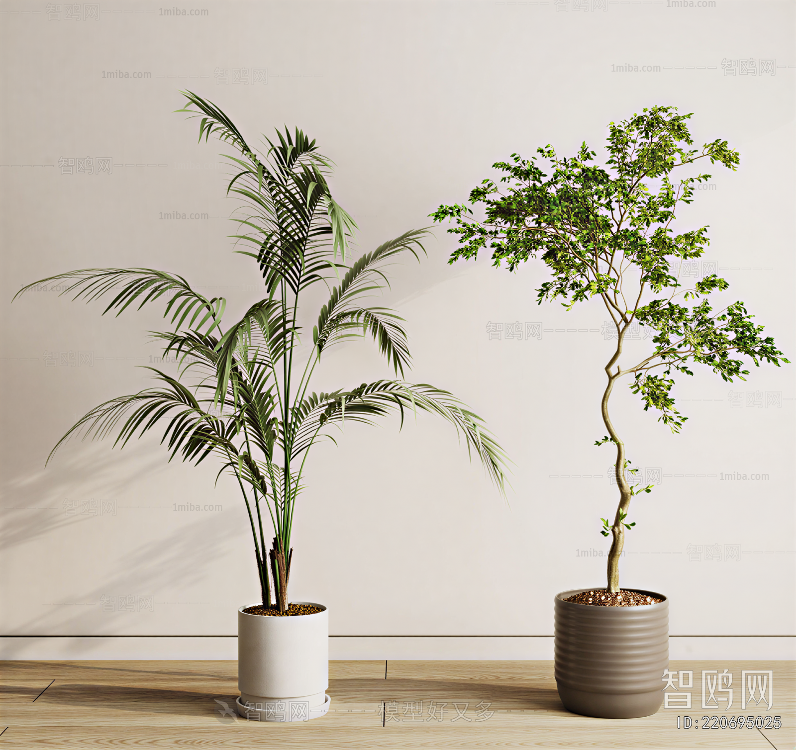 Modern Ground Green Plant Potted Plants