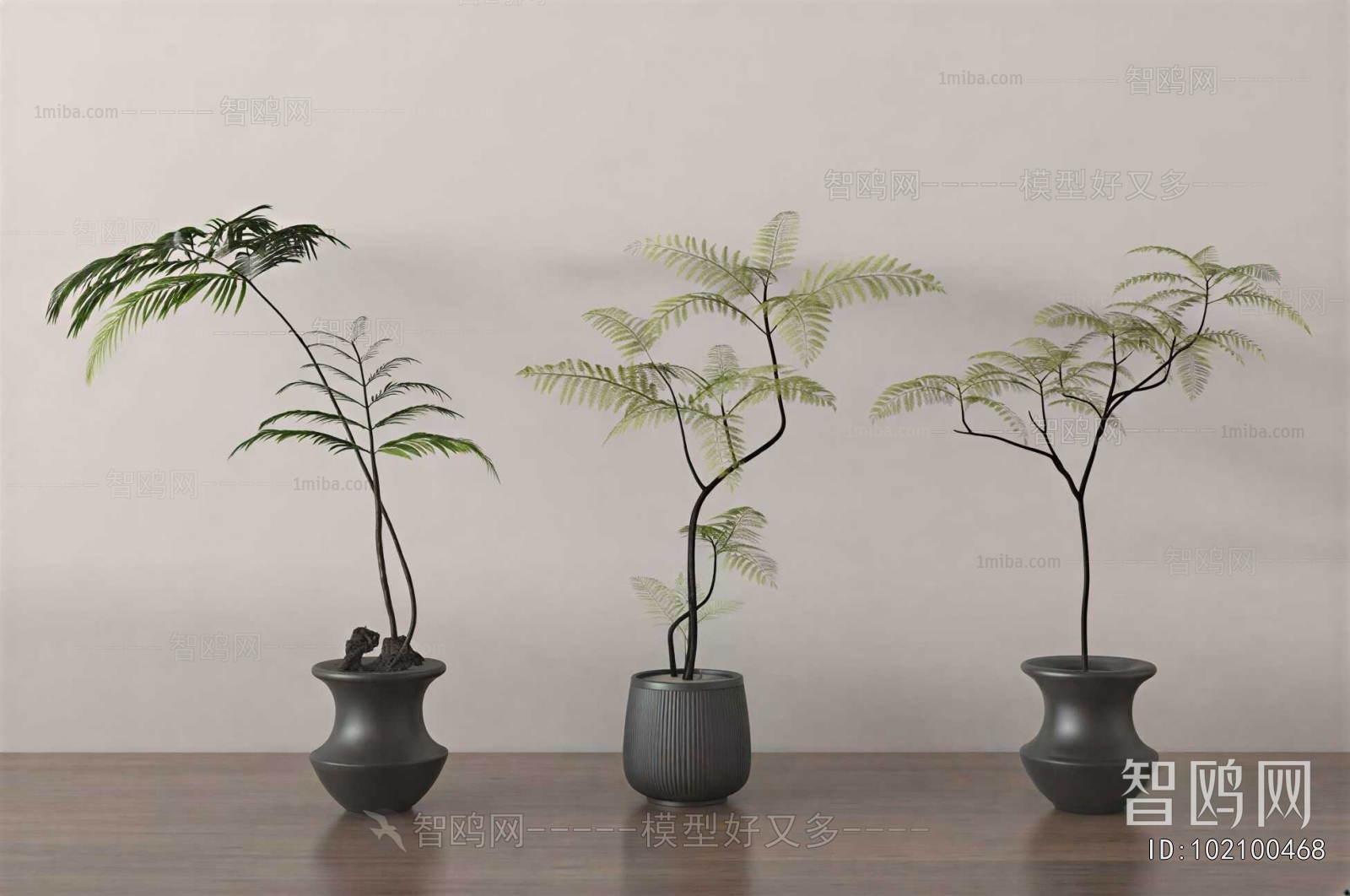 Modern Ground Green Plant Potted Plants