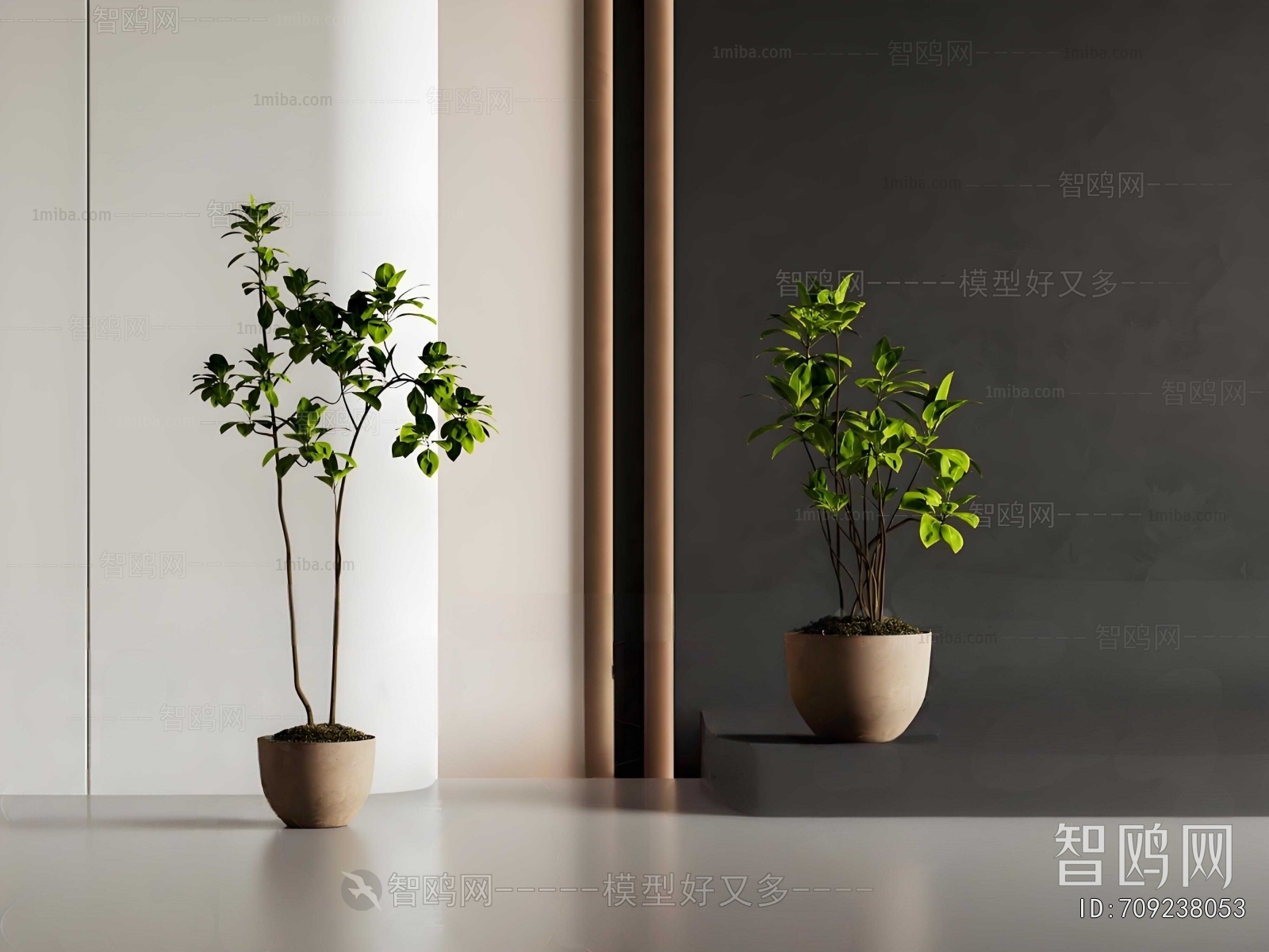 Modern Ground Green Plant Potted Plants