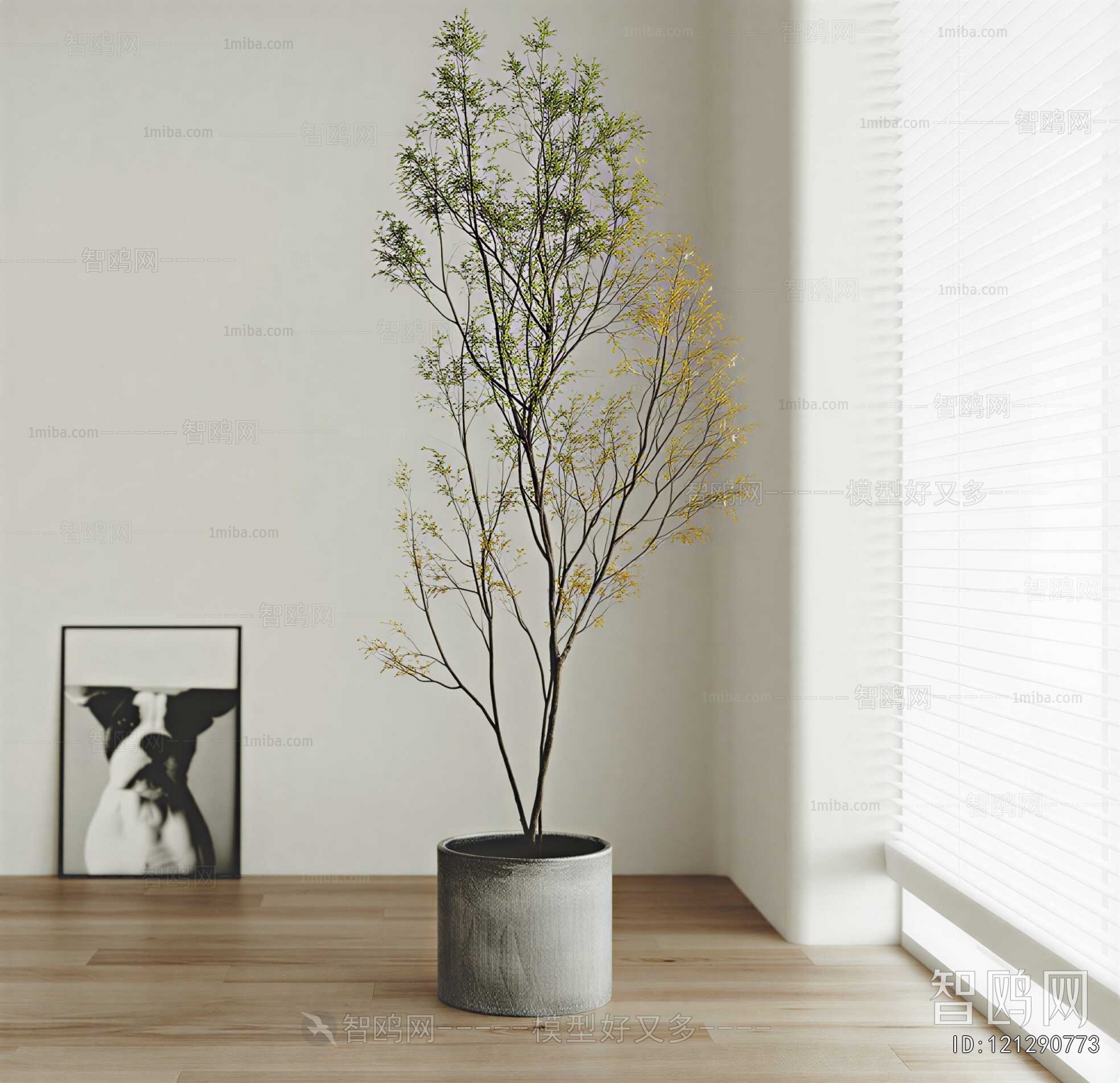 Modern Ground Green Plant Potted Plants