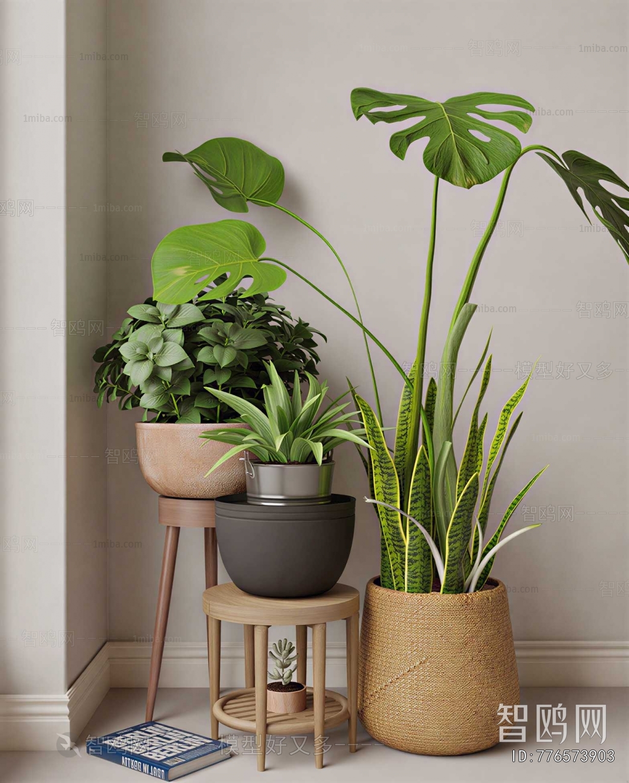 Modern Potted Green Plant