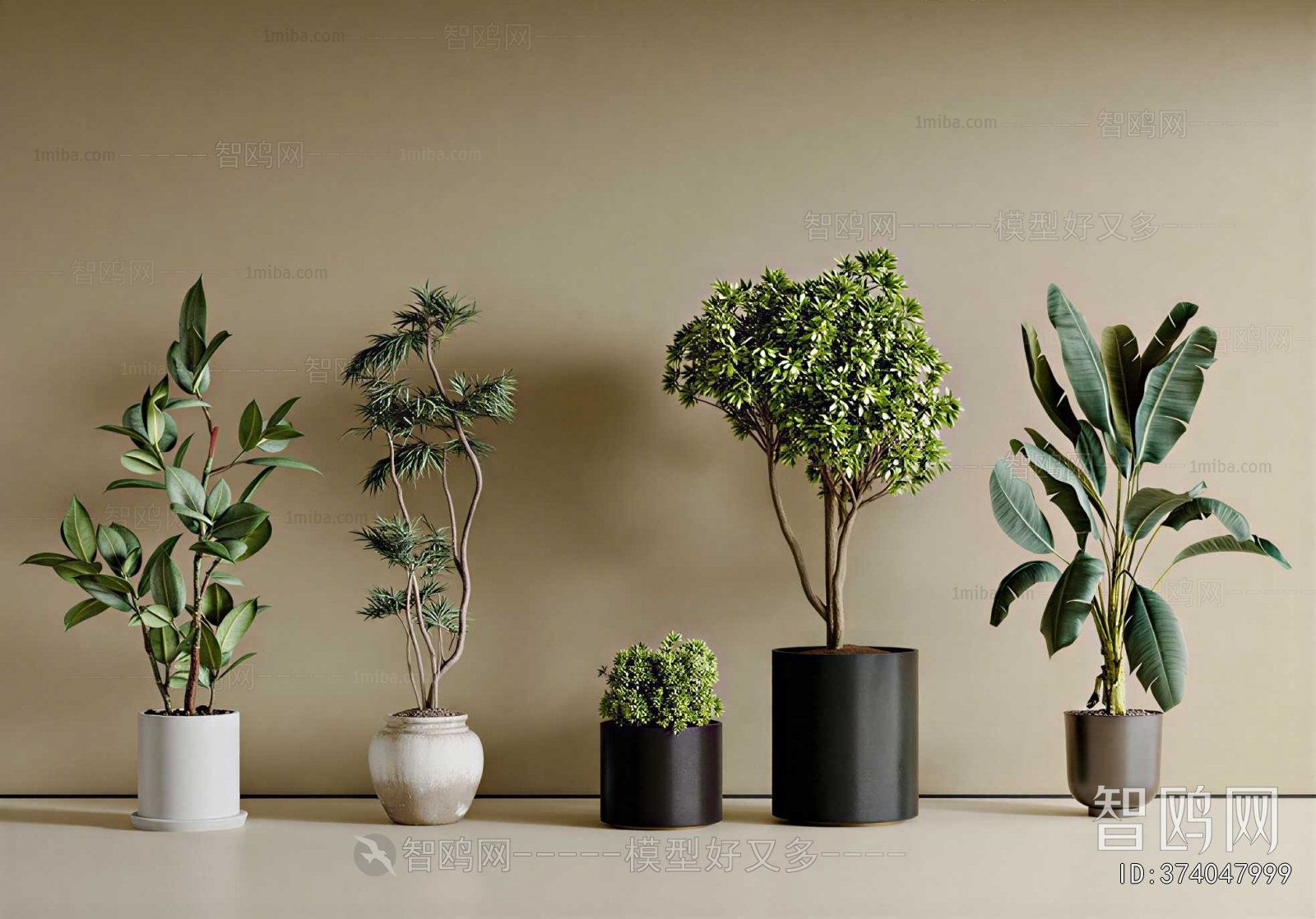 Modern Ground Green Plant Potted Plants