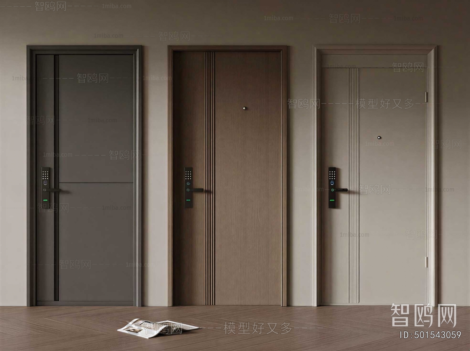 Modern Entrance Door