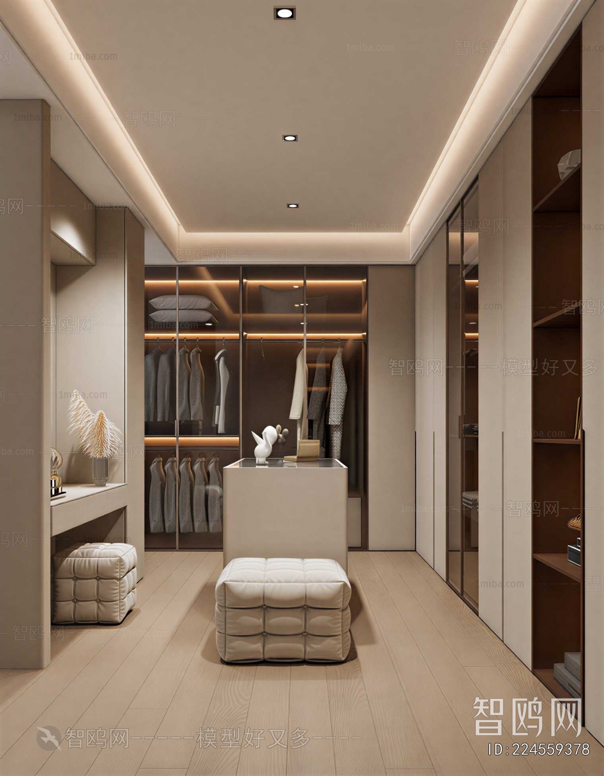Modern Clothes Storage Area