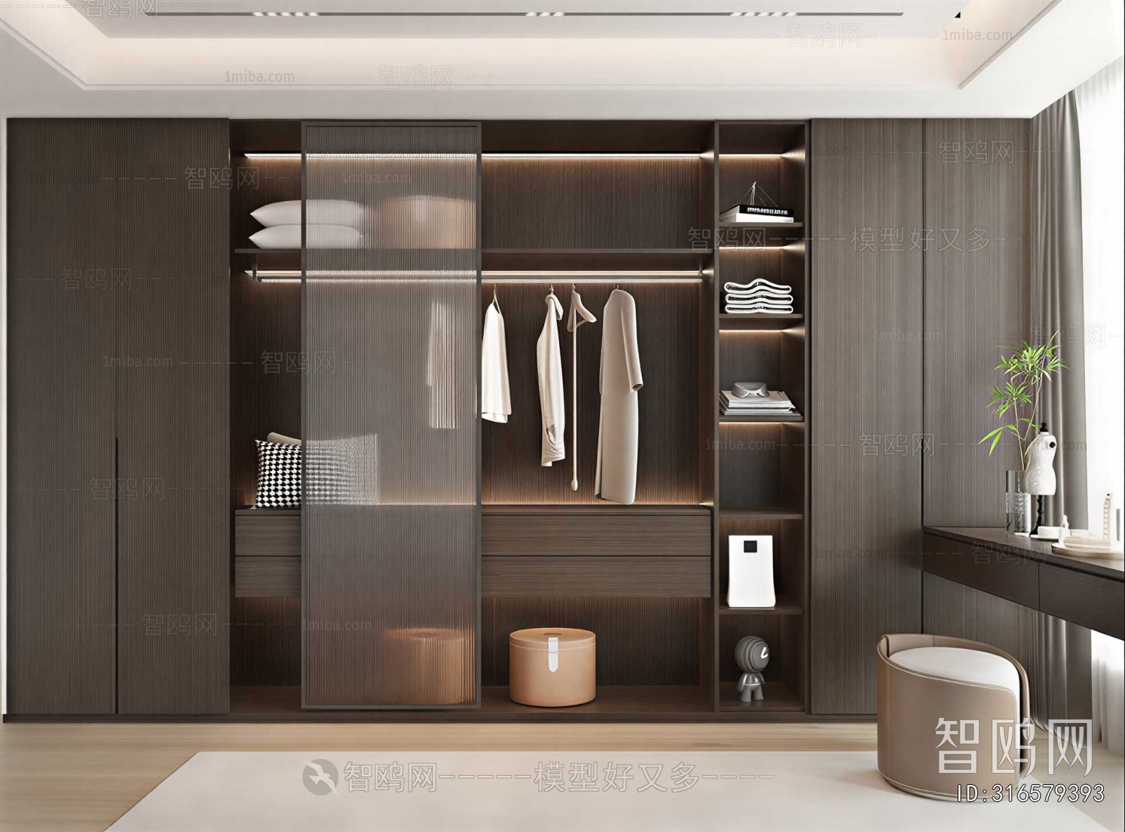 Modern Clothes Storage Area