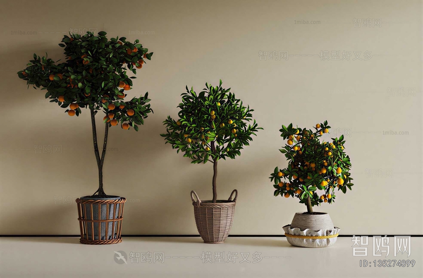 Modern Ground Green Plant Potted Plants