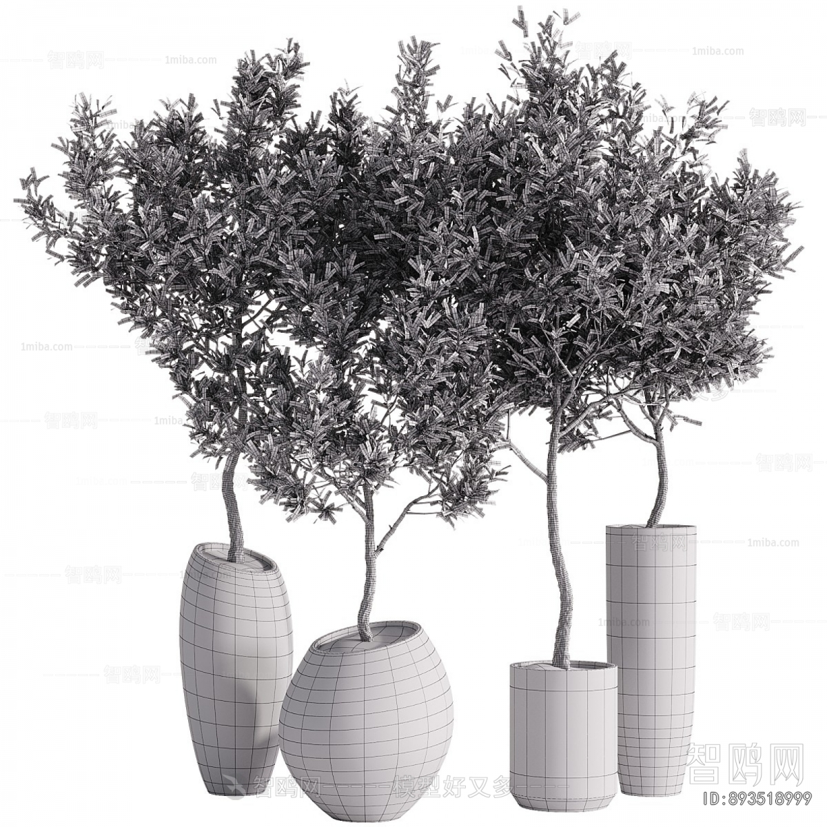 Modern Ground Green Plant Potted Plants
