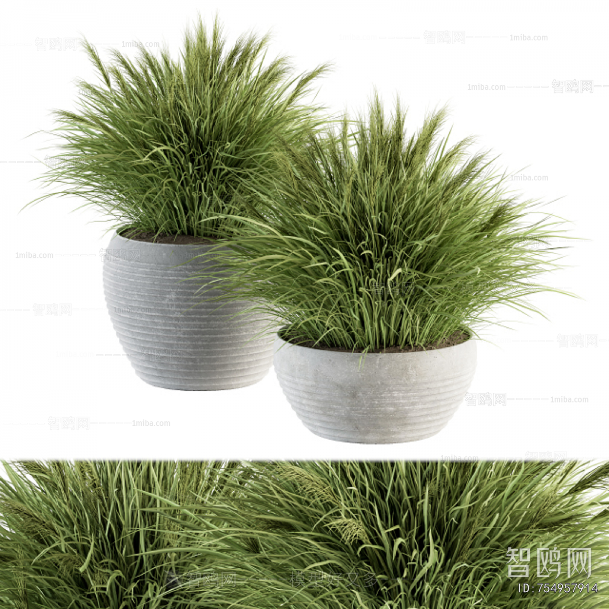 Modern Ground Green Plant Potted Plants