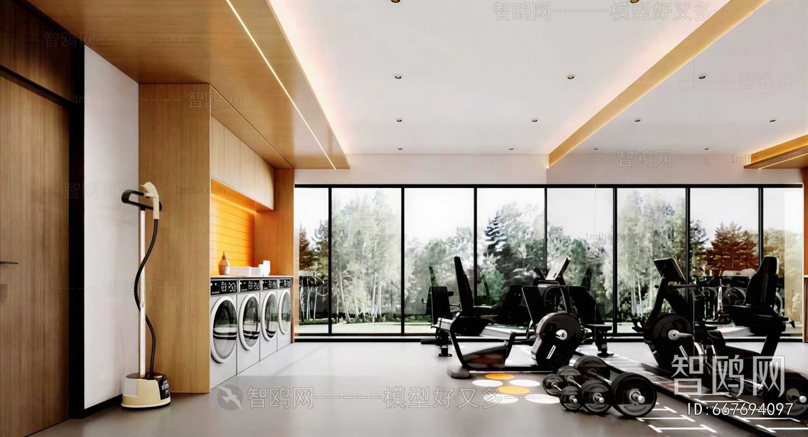 Modern Gym