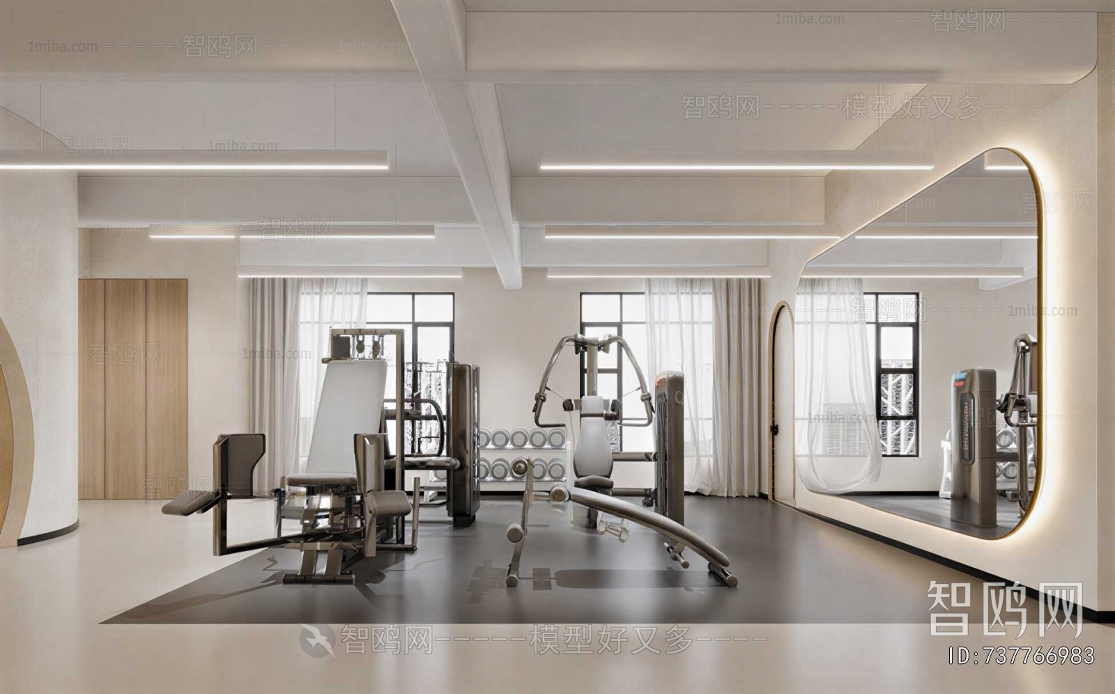 Modern Gym