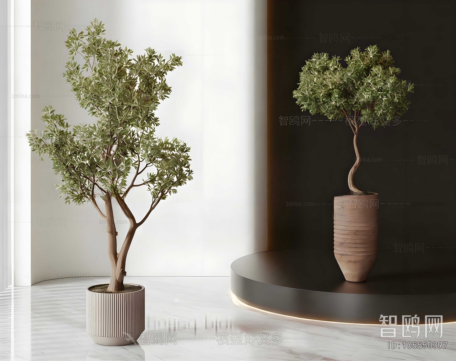 Modern Ground Green Plant Potted Plants
