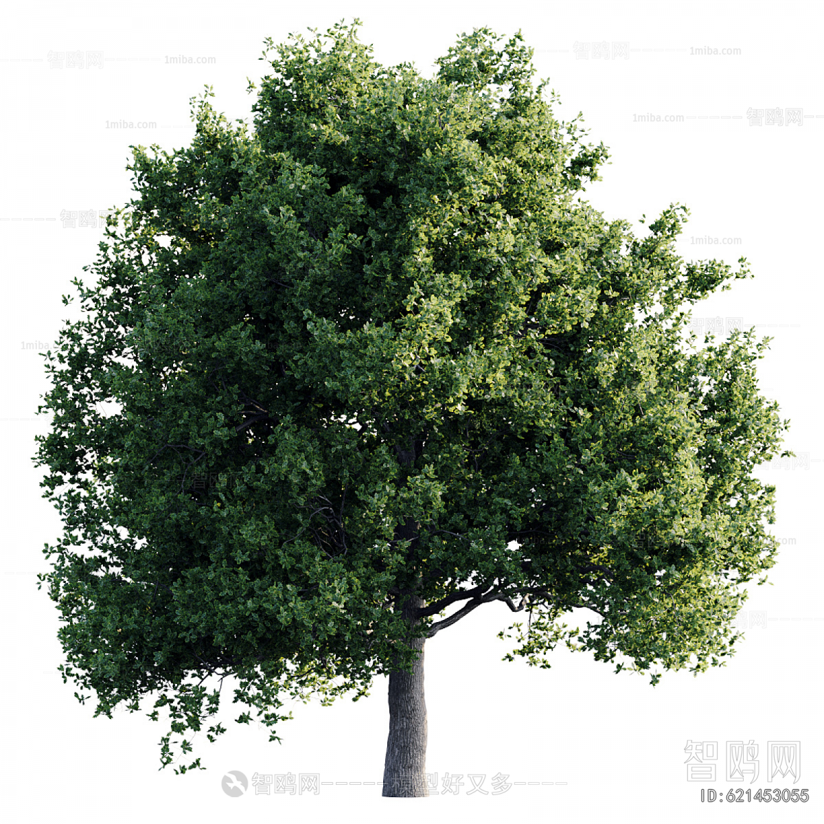 Modern Tree