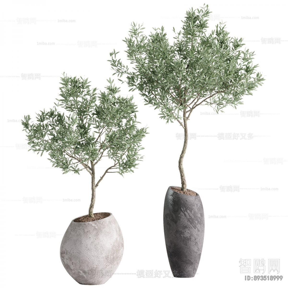 Modern Ground Green Plant Potted Plants