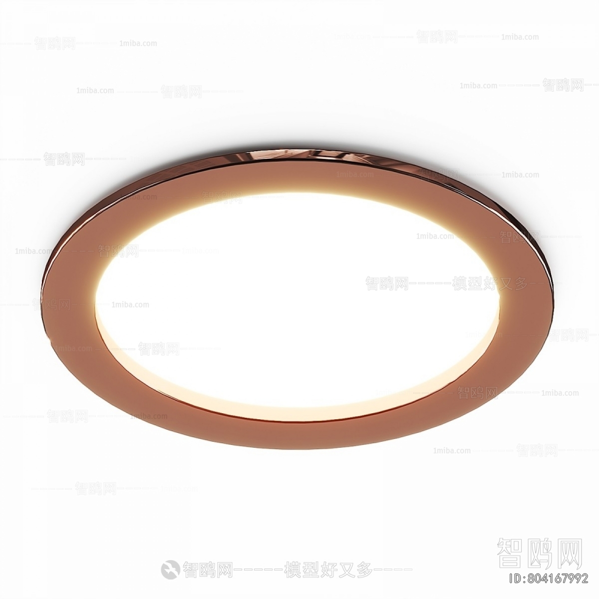 Modern Ceiling Ceiling Lamp