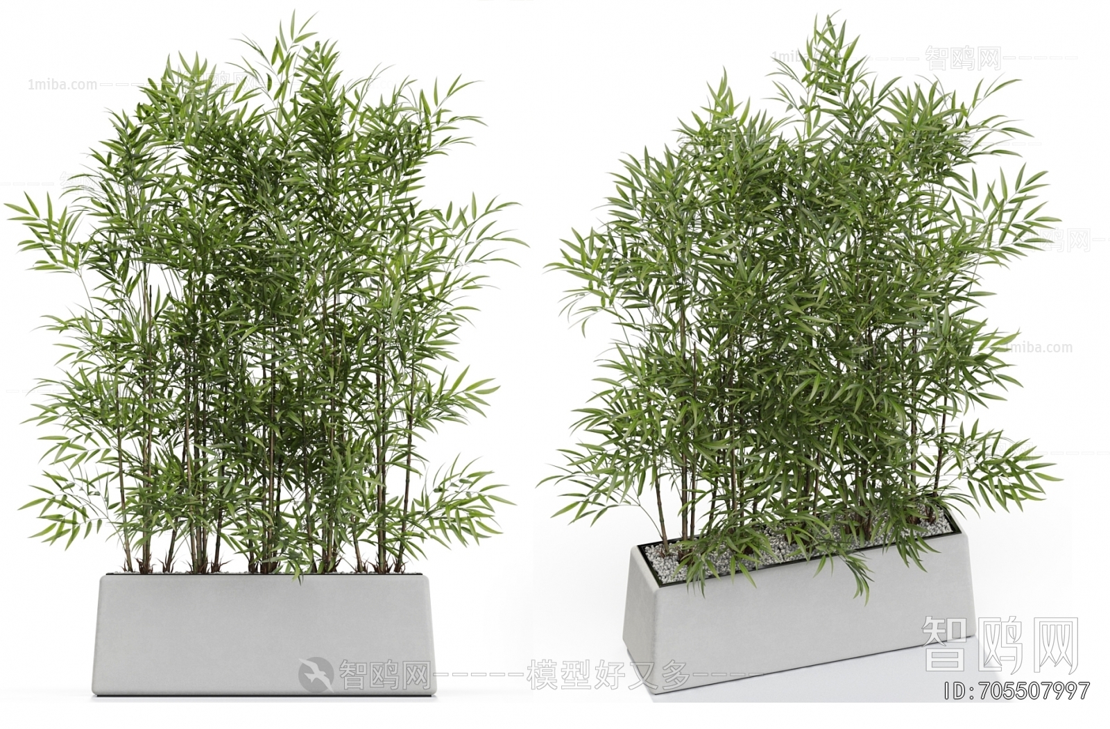 Modern Flower Bed, Flower Bowl, Flower Box