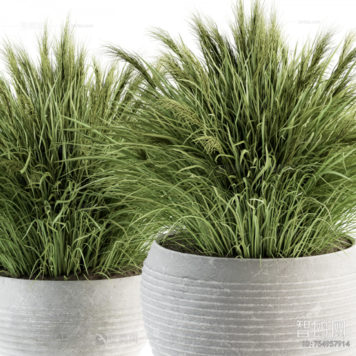 Modern Ground Green Plant Potted Plants