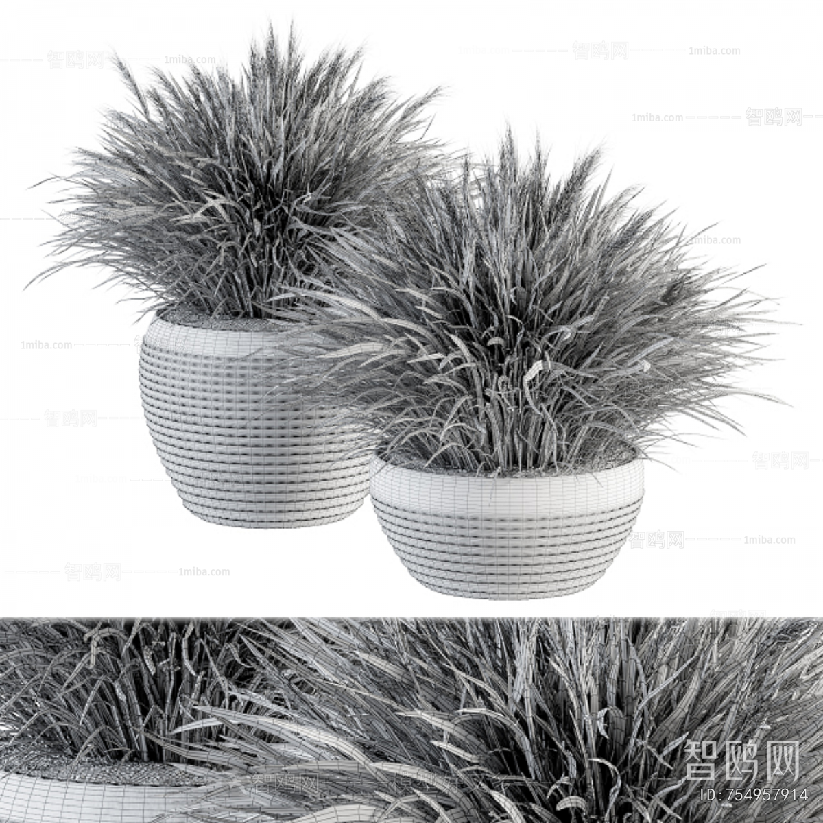 Modern Ground Green Plant Potted Plants