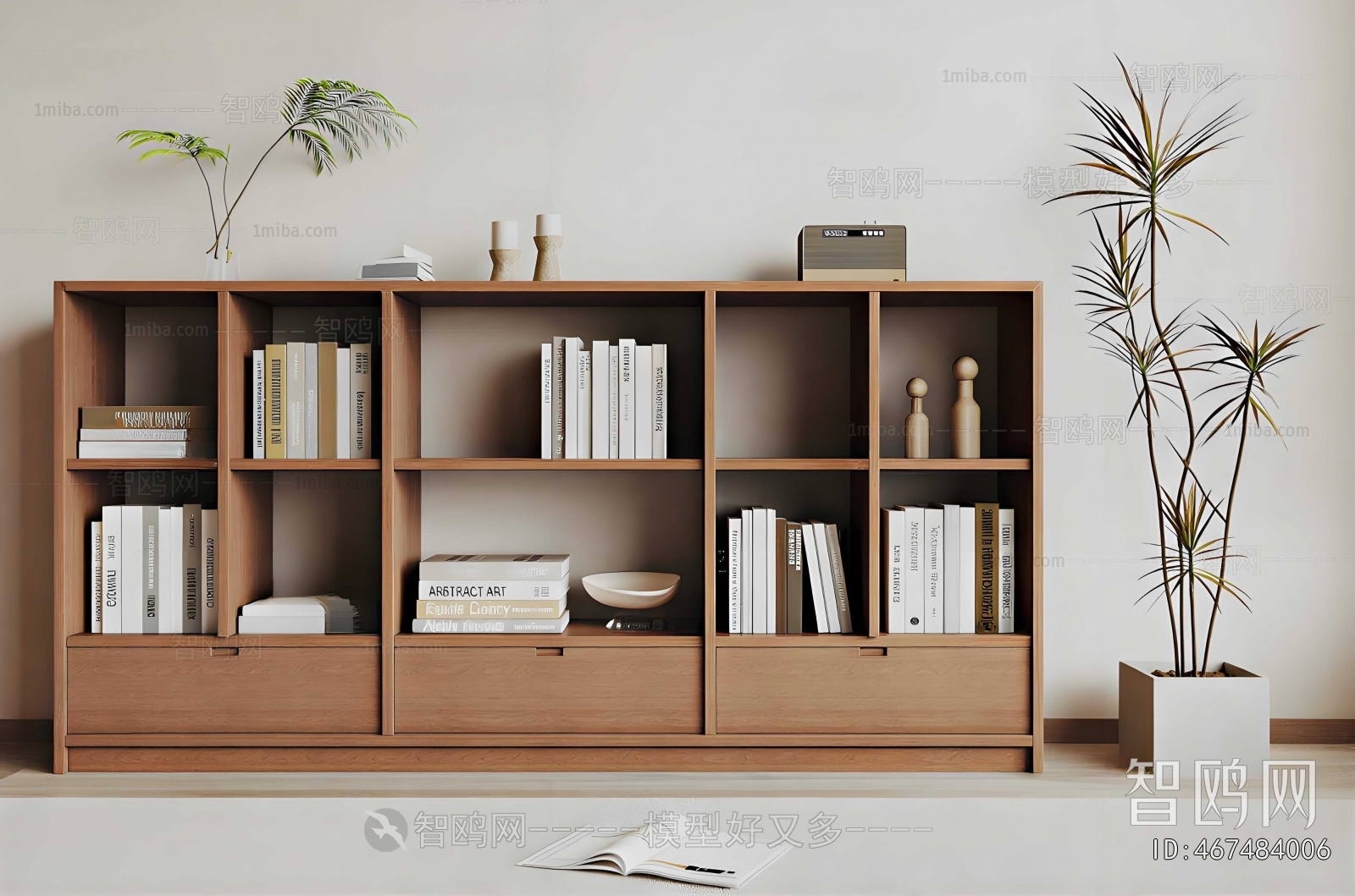 Modern Bookshelf