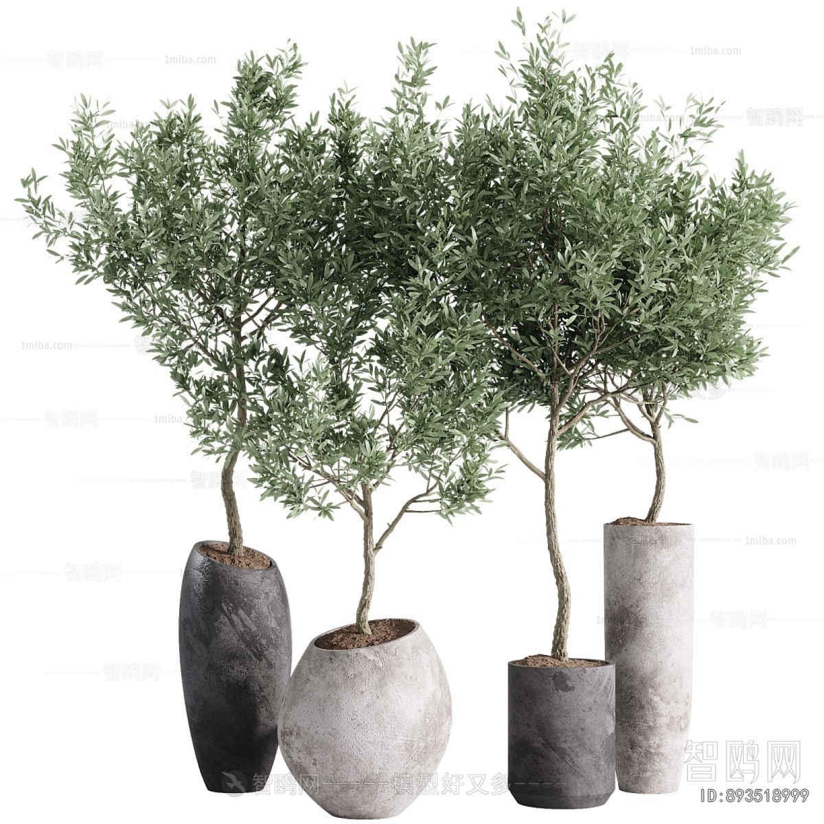 Modern Ground Green Plant Potted Plants