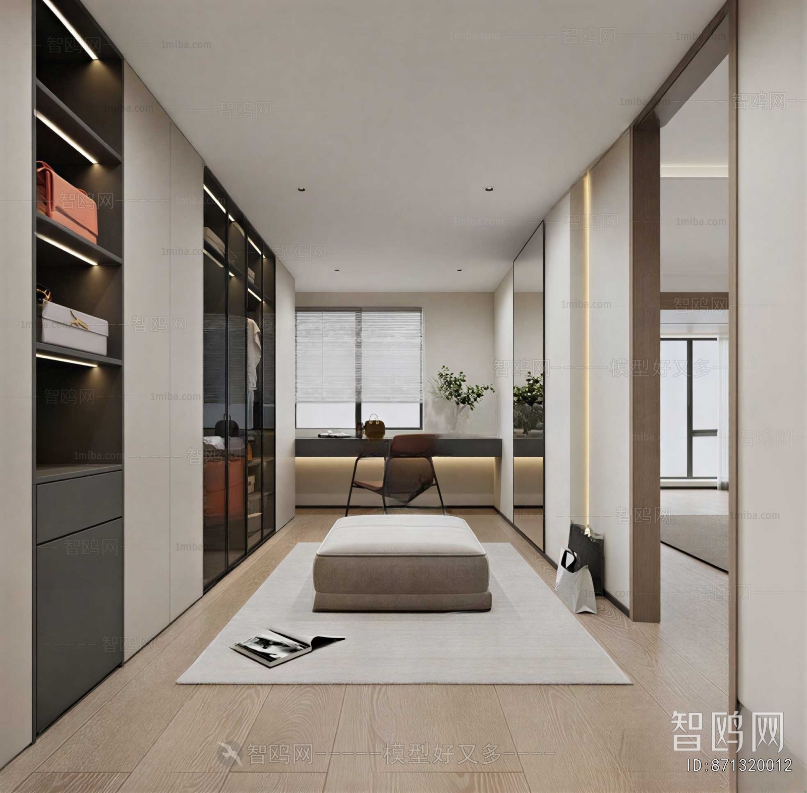 Modern Clothes Storage Area