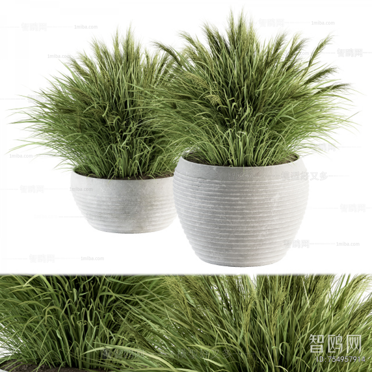 Modern Ground Green Plant Potted Plants