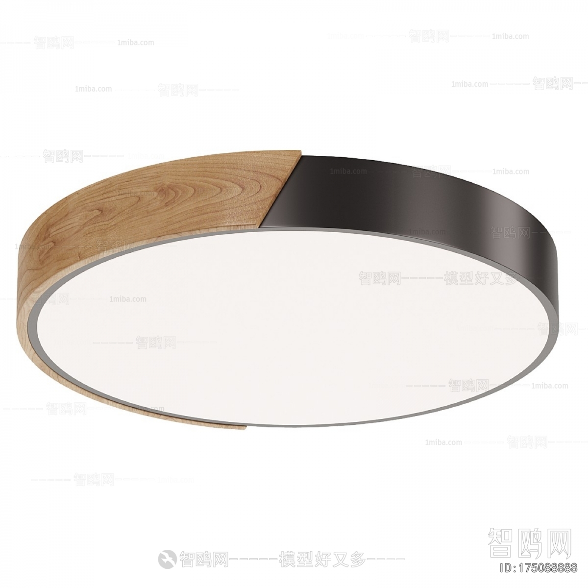Modern Ceiling Ceiling Lamp