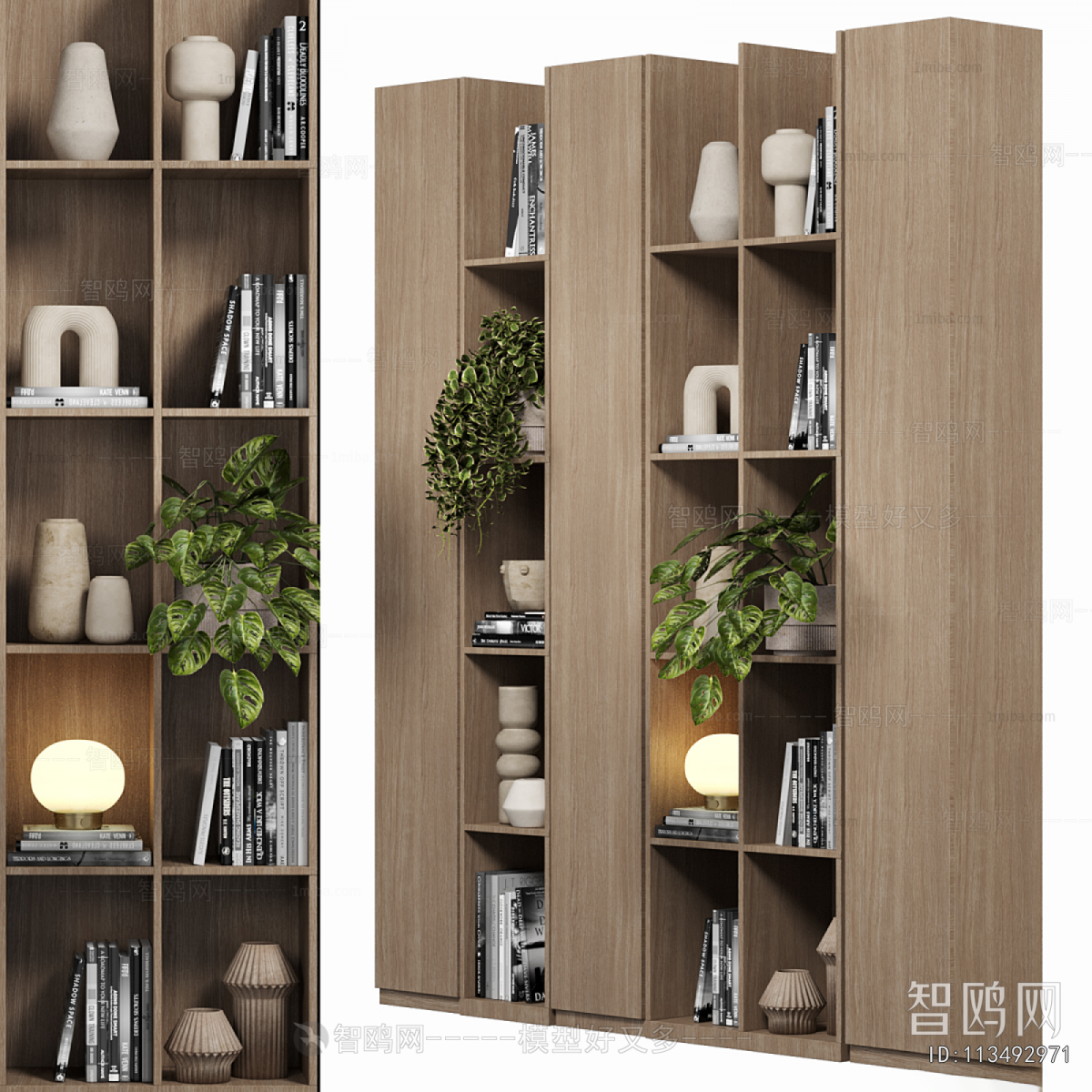 Modern Bookcase