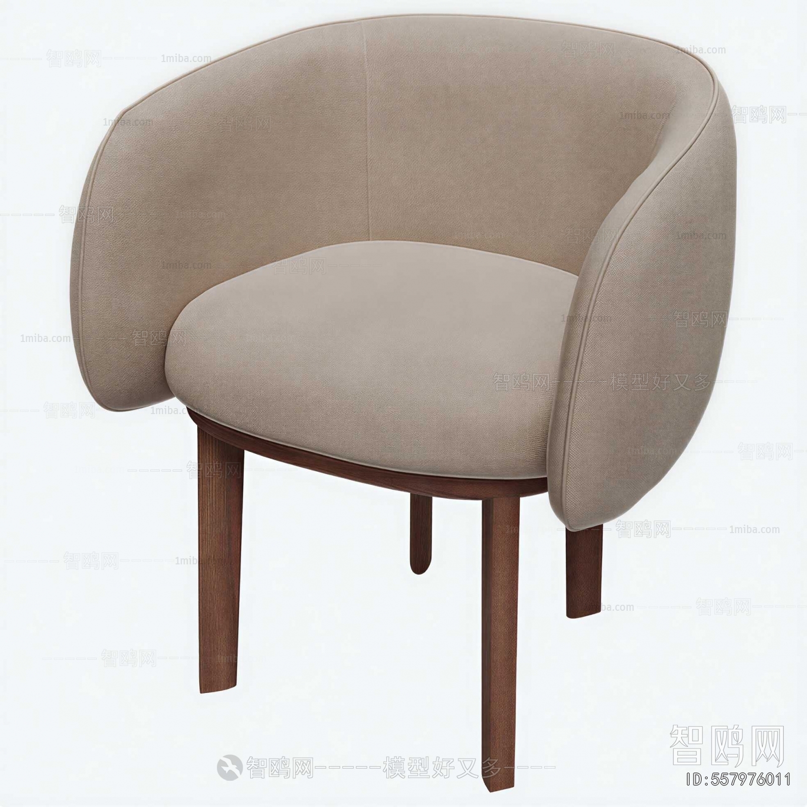 Modern Lounge Chair