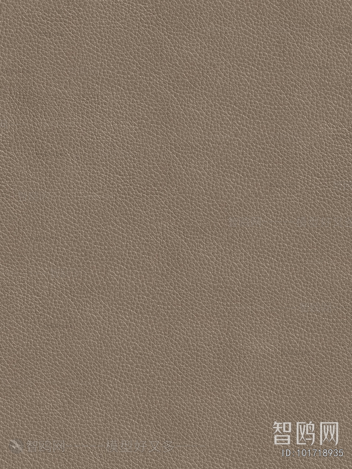 Fine Grain Leather