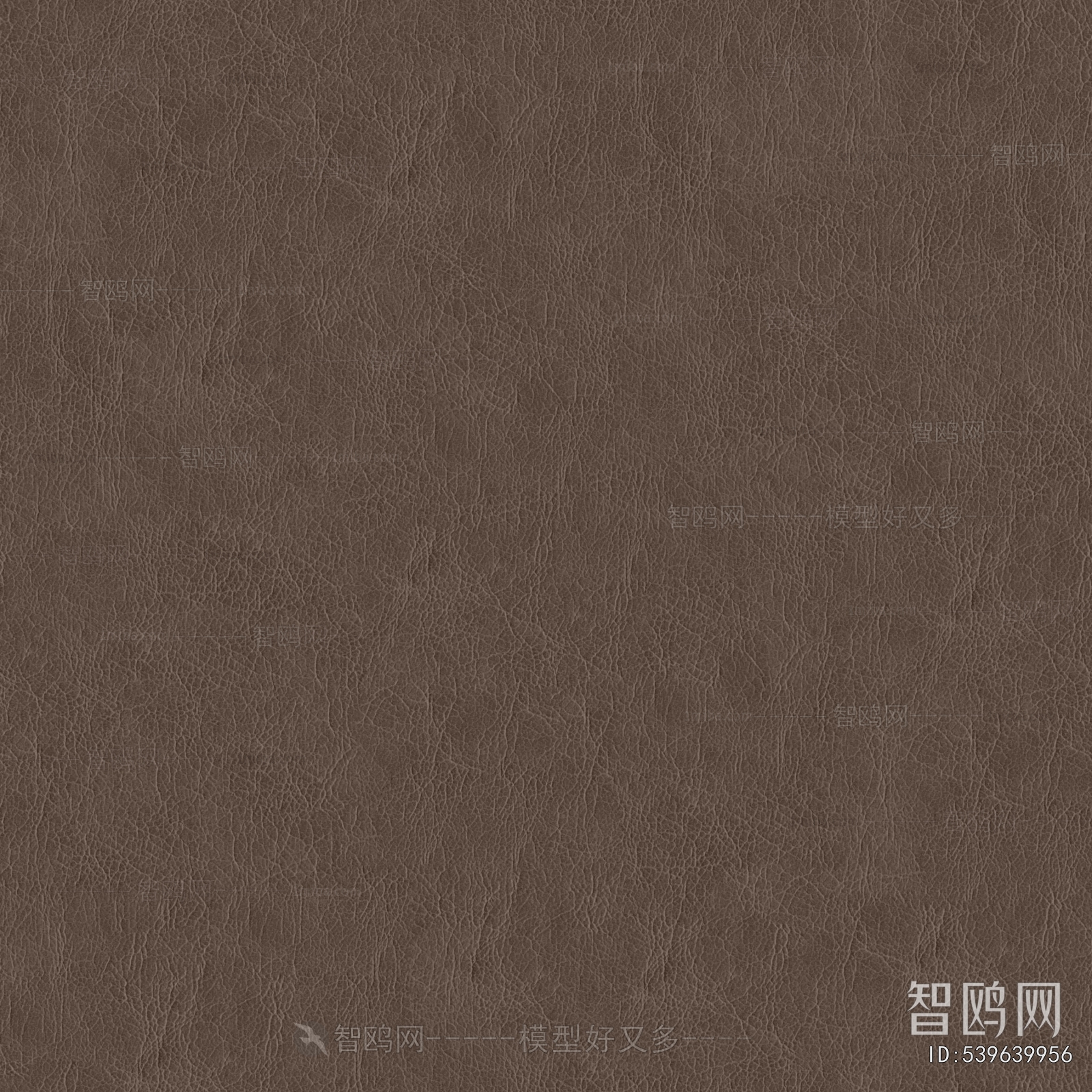 Rough Grain Leather