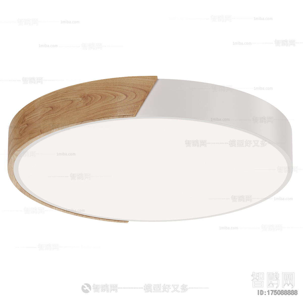 Modern Ceiling Ceiling Lamp