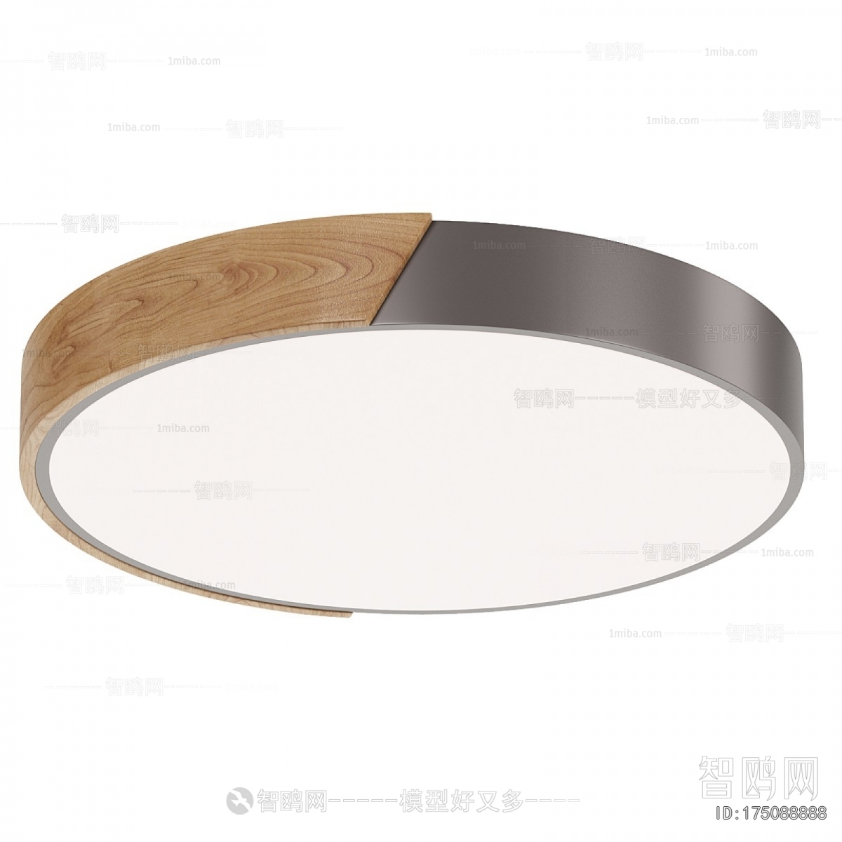 Modern Ceiling Ceiling Lamp