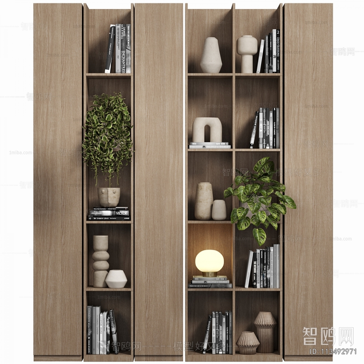 Modern Bookcase
